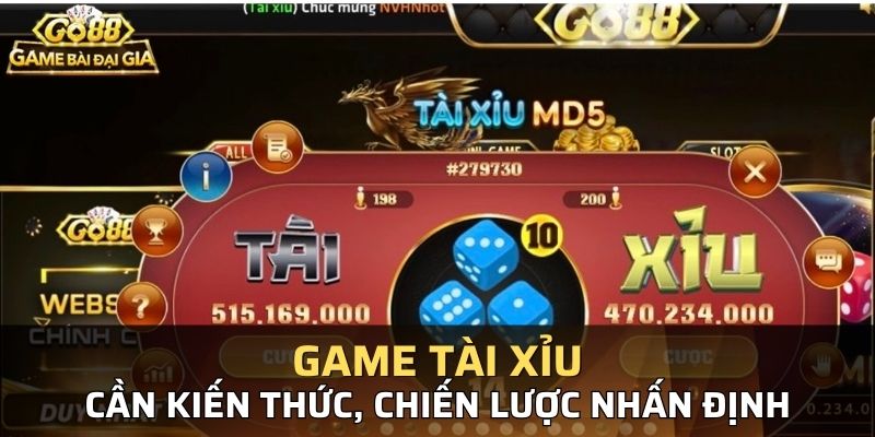 Người chơi tài xỉu không nên vội vàng chơi mà cần từ từ học hỏi